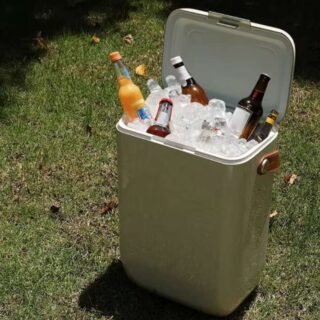 10L Lavish Travel Cooler Box with Durable Strap